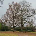 Bed & Breakfast Chateau Lamothe Du Prince Noir -