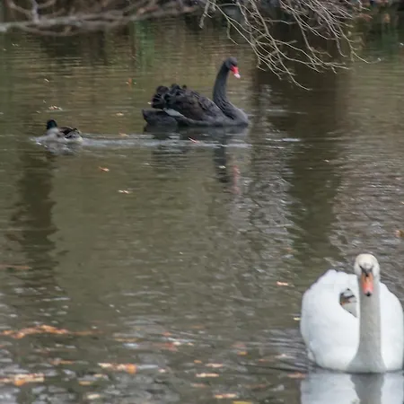 Bed and breakfast Chateau Lamothe Du Prince Noir - *