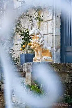 Chateau Lamothe Du Prince Noir - Couette-café *
