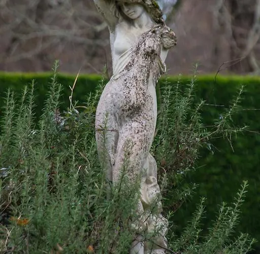 Bed & Breakfast Chateau Lamothe Du Prince Noir -