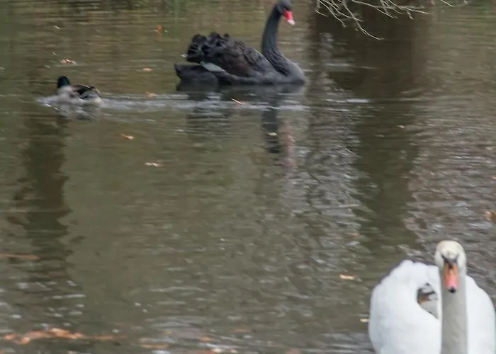 Bed & Breakfast Chateau Lamothe Du Prince Noir - *