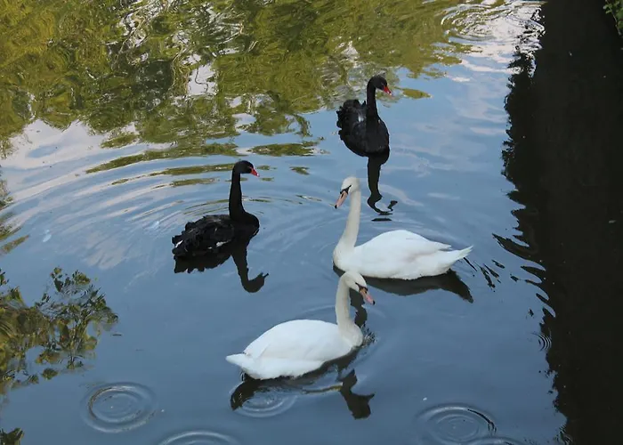 Bed & Breakfast Chateau Lamothe Du Prince Noir -