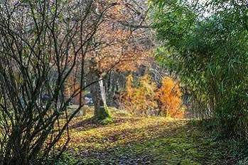 Chateau Lamothe Du Prince Noir - Bed & Breakfast *